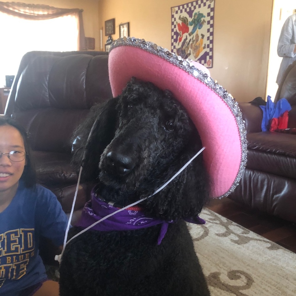 Meet your Posher, Hannah